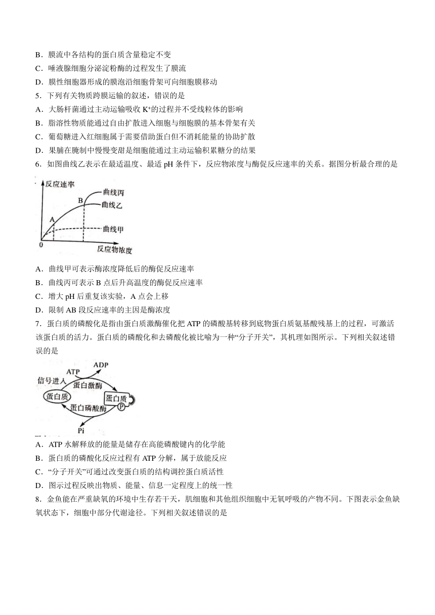 陕西省铜川市2023-2024学年高三上学期1月第一次质量检测生物学试题（含答案）