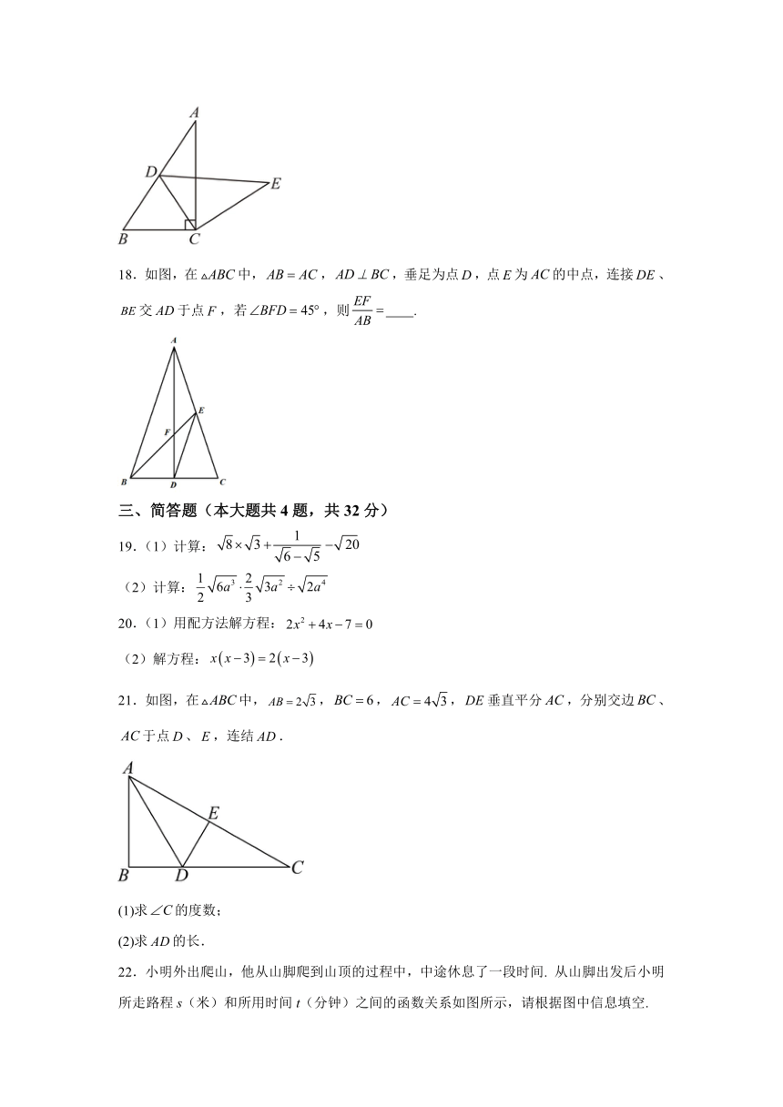 上海市金山区2023-2024学年八年级上学期期末联考数学试题(含解析)