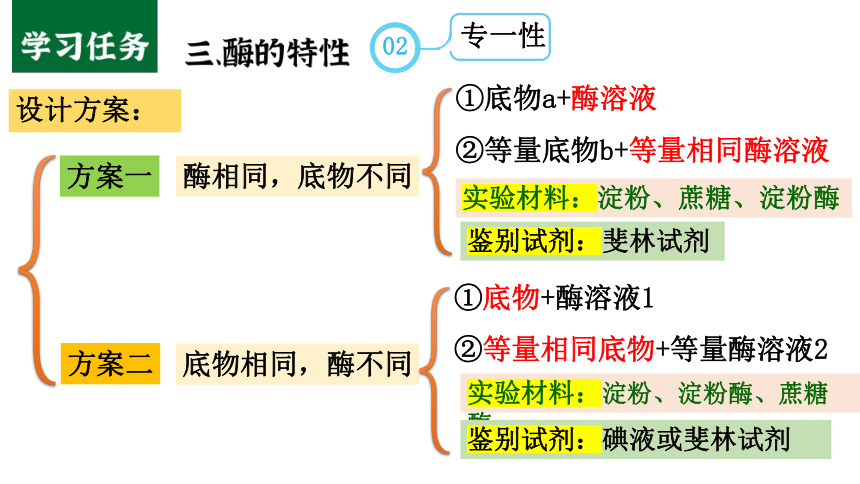 5.1.2酶的特性课件 第2课时 （共34张PPT）-人教版（2019）必修1