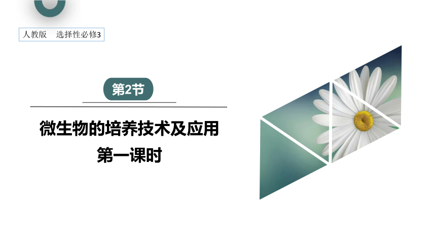 1.2 课时1 微生物的基本培养技术  课件(共30张PPT) 2023-2024学年高二生物人教版（2019）选择性必修3