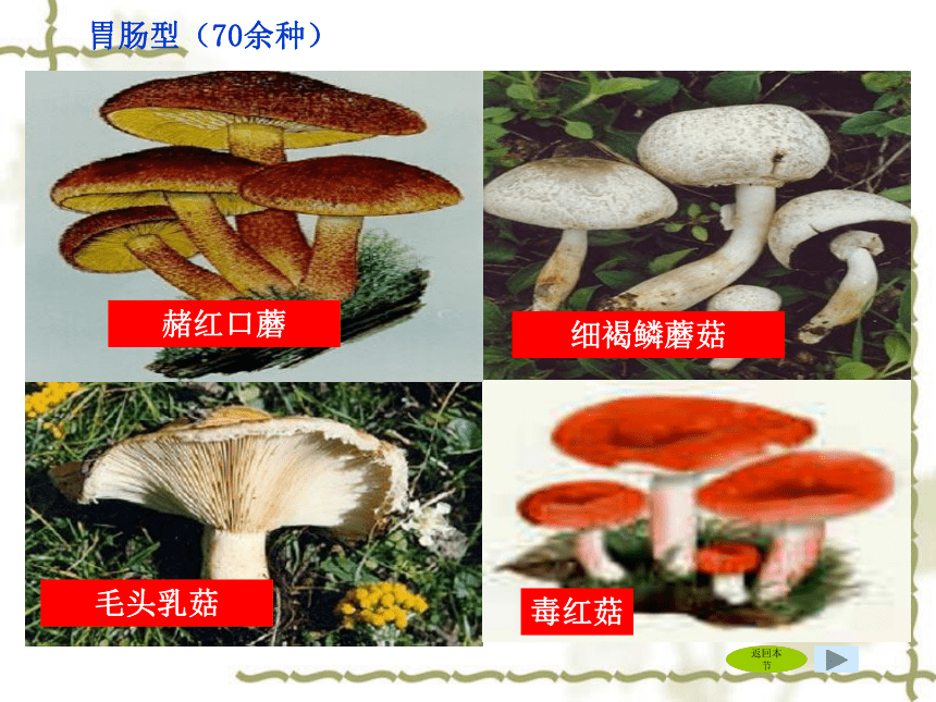 11.2 嫌忌成分的种类及其危害 课件(共76张PPT)-《食品生物化学》同步教学（大连理工大学出版社）