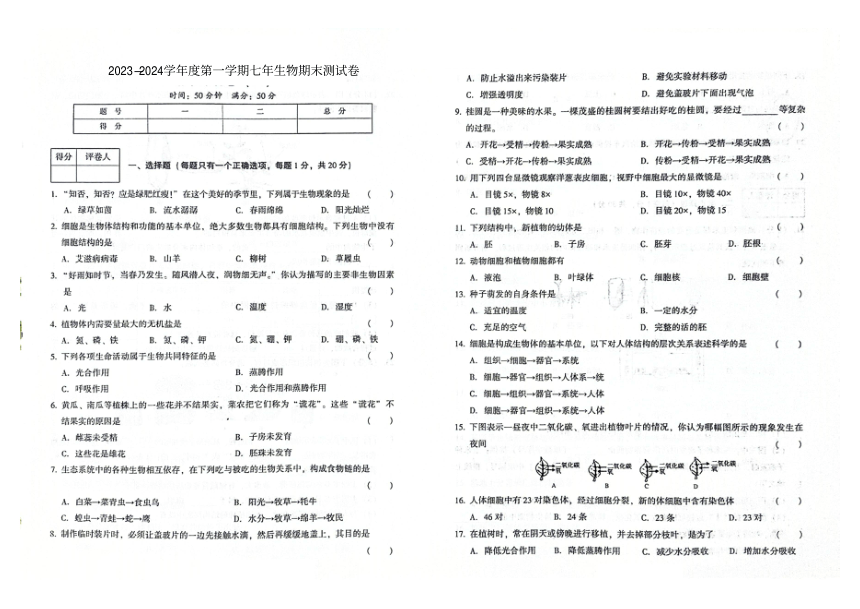 吉林省白城市通榆县2023-2024学年第一学期七年级生物期末试题（图片版，含答案）