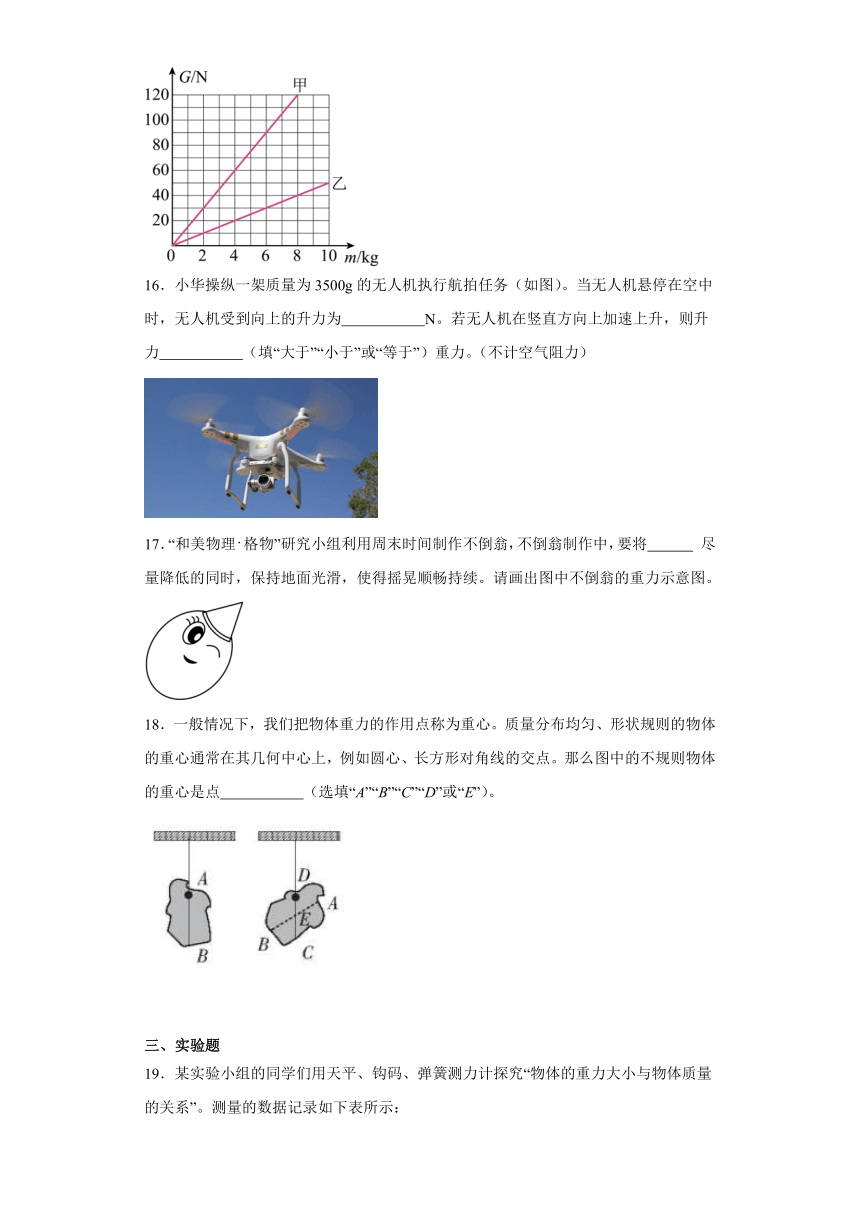 7.3重力 同步练习（含解析）2023-2024学年北师大版物理八年级下册