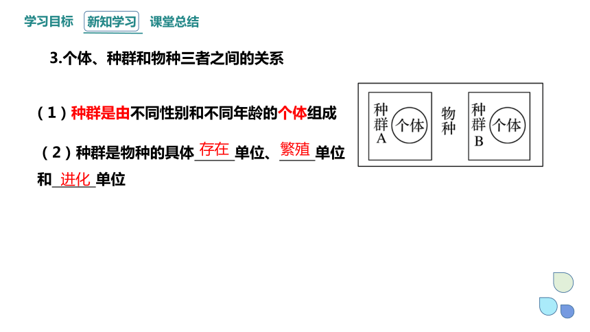 1.1 种群具有一定的特征 课件(共29张PPT) 2023-2024学年高二生物浙科版（2019）选择性必修2