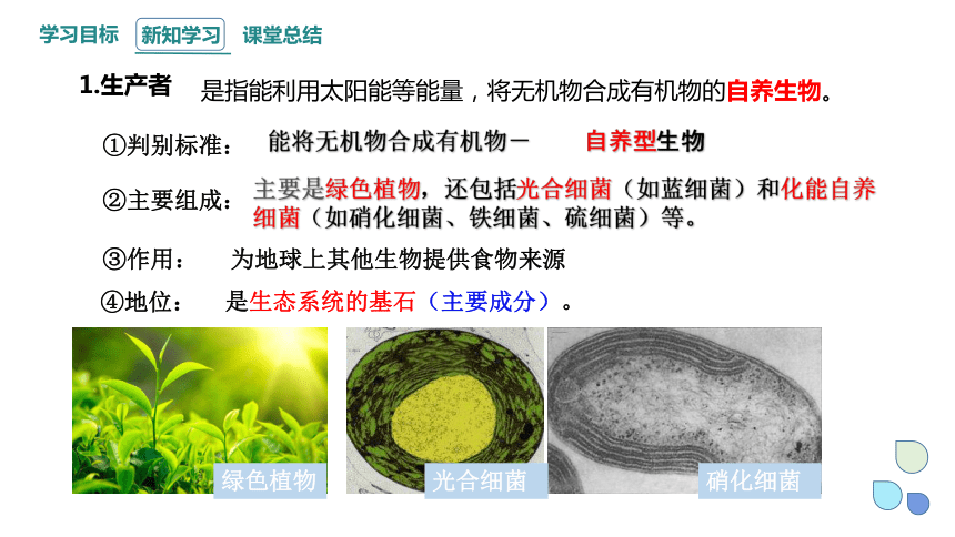 3.1 群落与非生物环境组成生态系统 课件(共22张PPT) 2023-2024学年高二生物浙科版（2019）选择性必修2