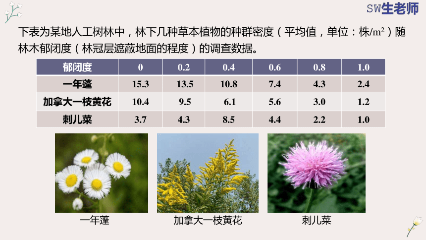 1.3  影响种群数量变化的因素(共27张PPT)