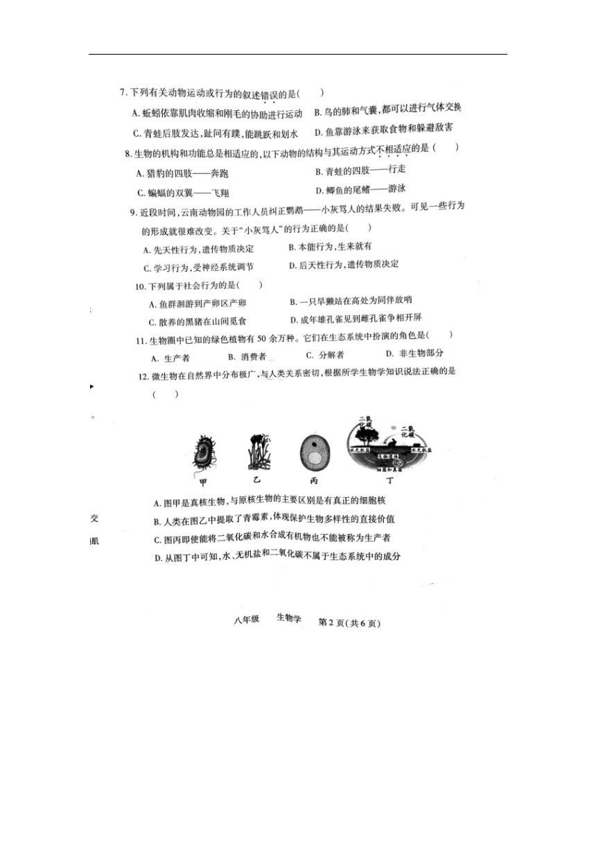 河南省洛阳市汝阳县2023-2024学年八年级上学期期末生物试题（PDF版无答案）