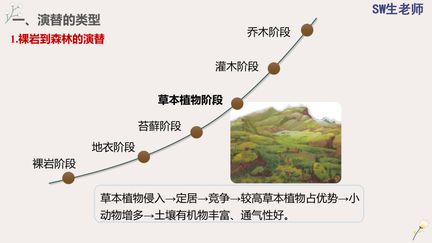 2.3 群落的演替(共36张PPT)