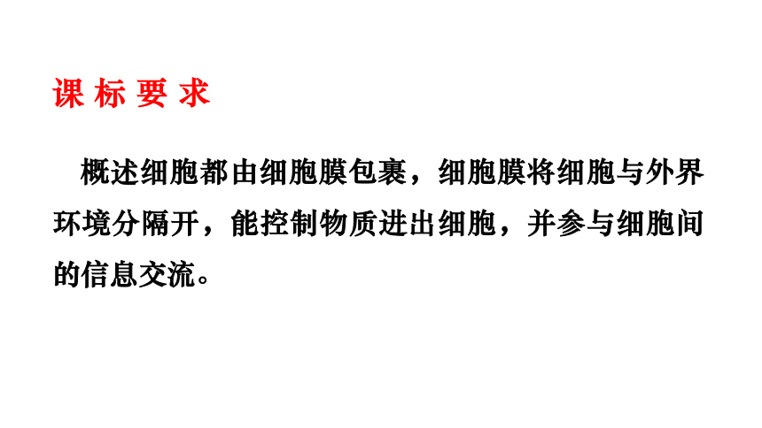 3.1细胞膜的结构和功能课件(共32张PPT)2023-2024学年高一上学期生物人教版必修1