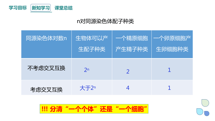 2.1 染色体通过配子传递给子代 课时3 课件（共32张PPT） 2023-2024学年高一生物浙教版（2019）必修2