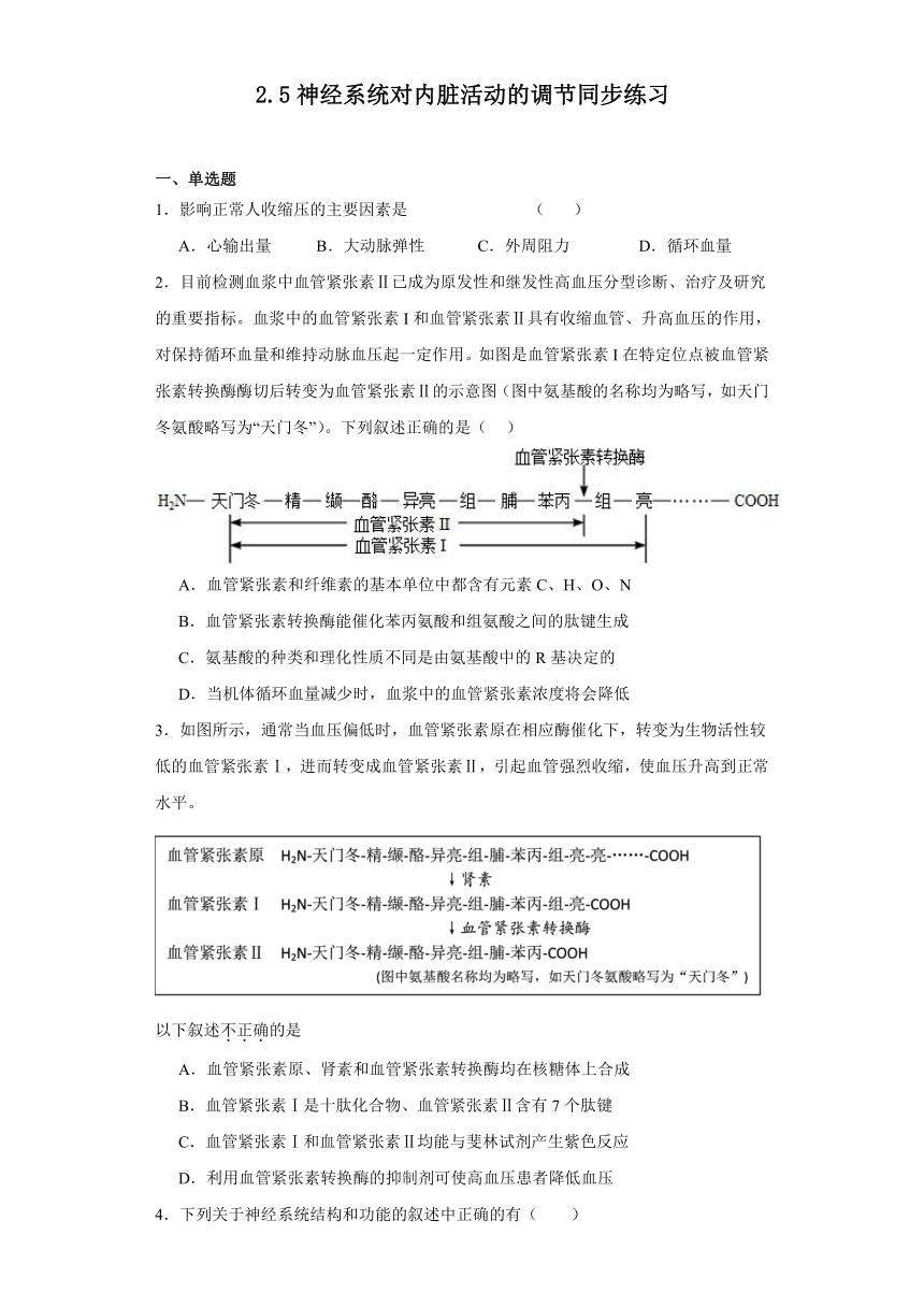 2.5神经系统对内脏活动的调节同步练习2023-2024学年高二上学期生物北师大版选择性必修1（解析版）