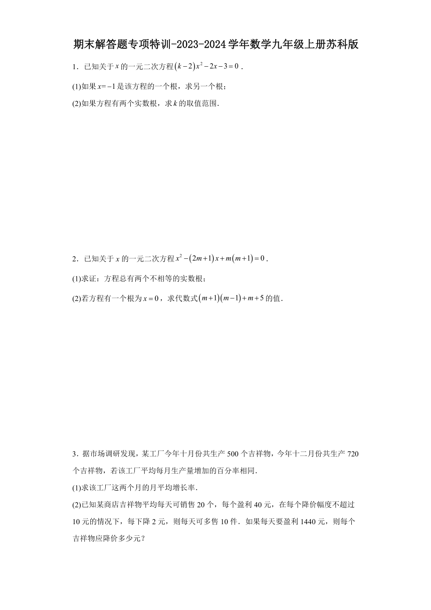 期末解答题专项特训（ 含解析）-2023-2024学年数学九年级上册苏科版.docx