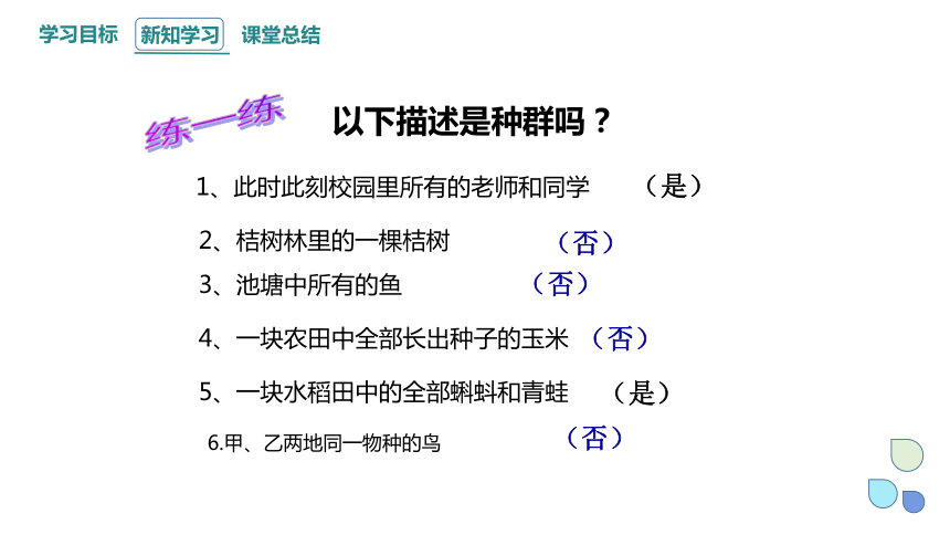 1.1 种群具有一定的特征 课件(共29张PPT) 2023-2024学年高二生物浙科版（2019）选择性必修2