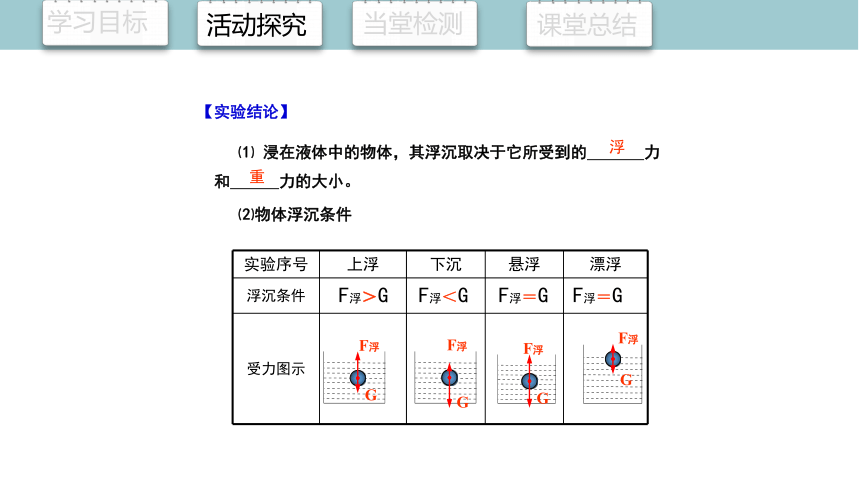 9.3 物体的沉与浮 课件 (共23张PPT)2023-2024学年初中物理沪科版八年级全一册