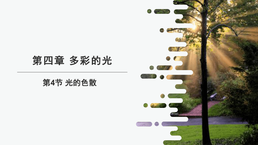 4.4 光的色散 课件(共21张PPT) 2023-2024学年初中物理沪科版八年级全一册