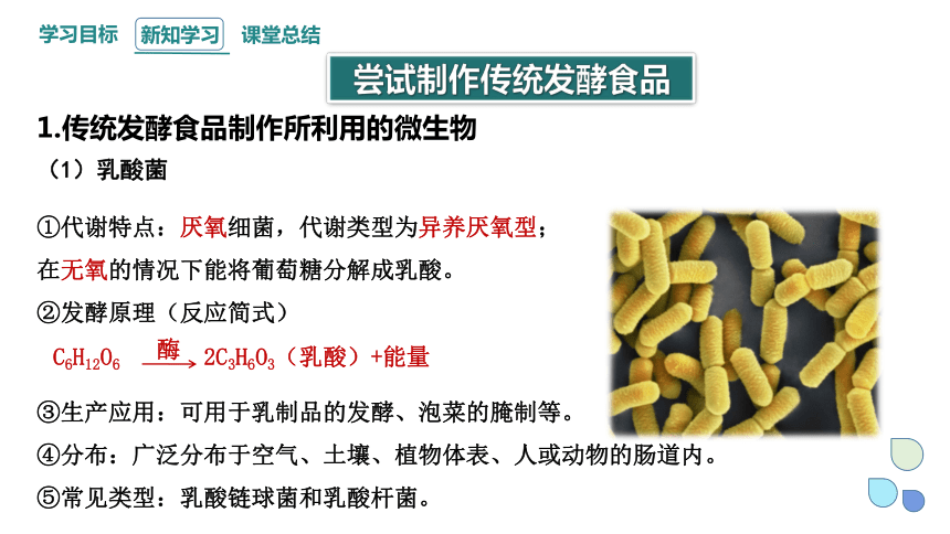 1.1 传统发酵技术的应用  课件 (共26张PPT)2023-2024学年高二生物人教版（2019）选择性必修3