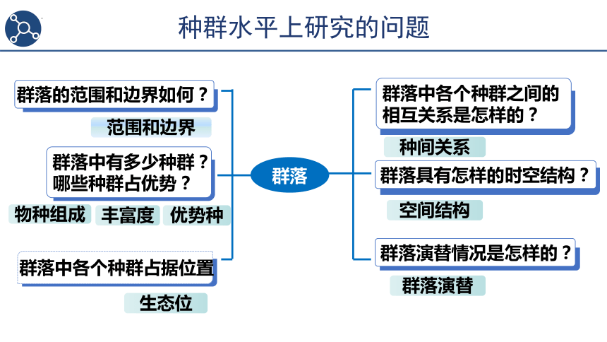 2.1群落的结构第1课时课件(共19张PPT) 人教版选择性必修2