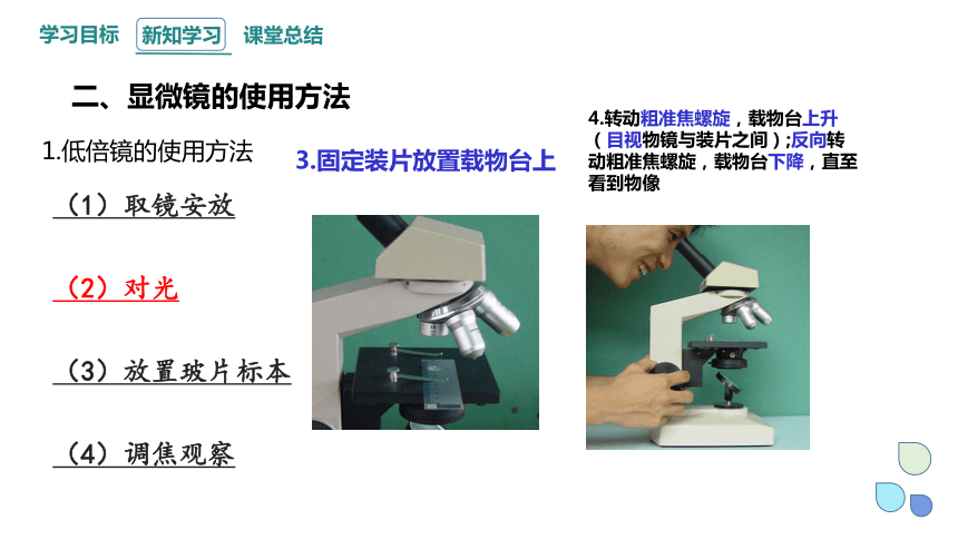 1.2 细胞的多样性和统一性 课件(共26张PPT) 2023-2024学年高一生物人教版（2019）必修1