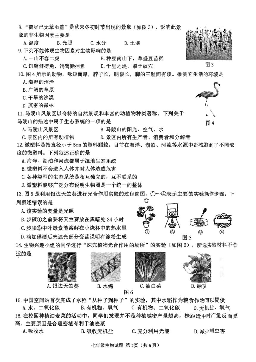 江苏省徐州市2023~2024学年七年级上学期期末生物试题（PDF版无答案）