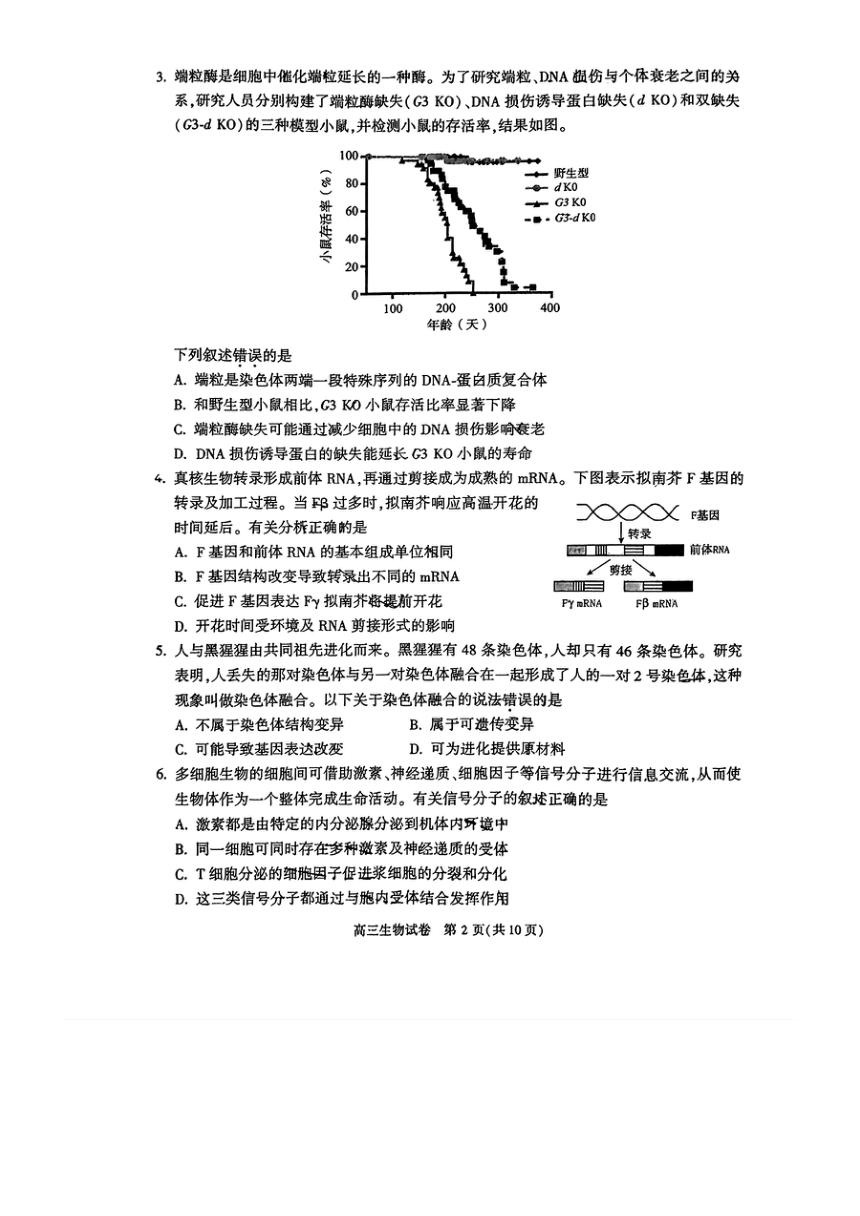 北京市朝阳区2023-2024学年高三上学期期末考试生物试卷（PDF无答案）
