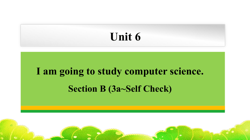 Unit 6 I'm going to study computer science Section B 3a-Self Check课件(共29张PPT) 人教版英语八年级上册