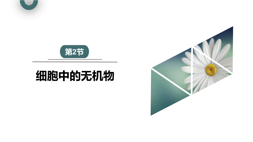 2.2 细胞中的无机物 课件(共22张PPT) 2023-2024学年高一生物人教版（2019）必修1