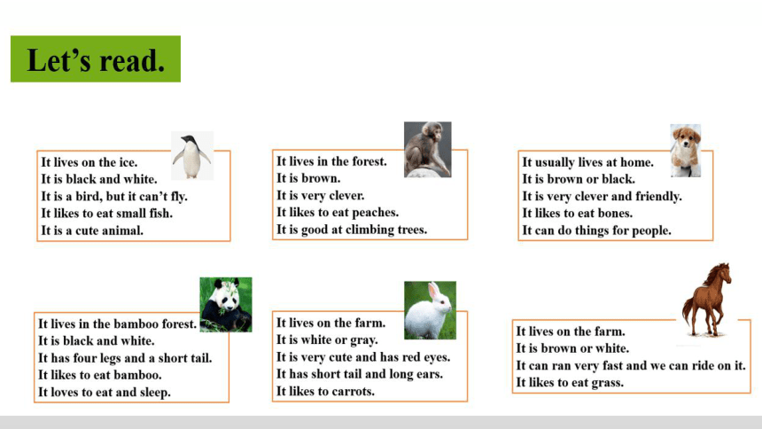 Unit 3 Animals Lesson 3 课件(共20张PPT)