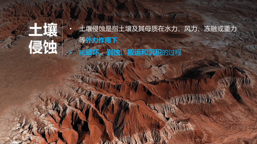 2.2.1 生态脆弱区的综合治理  课件(共41张PPT) 2023-2024学年高二地理人教版（2019）选择性必修第二册