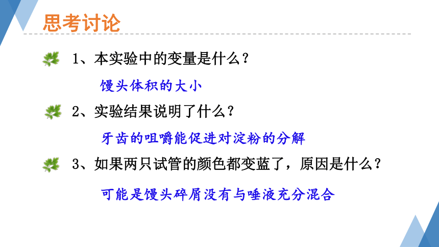 2.1.2-1食物在口腔中的消化 课件(共23张PPT)2023-2024学年冀少版生物七年级下册