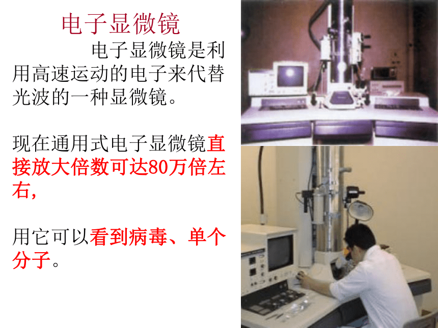 第一节练习使用显微镜