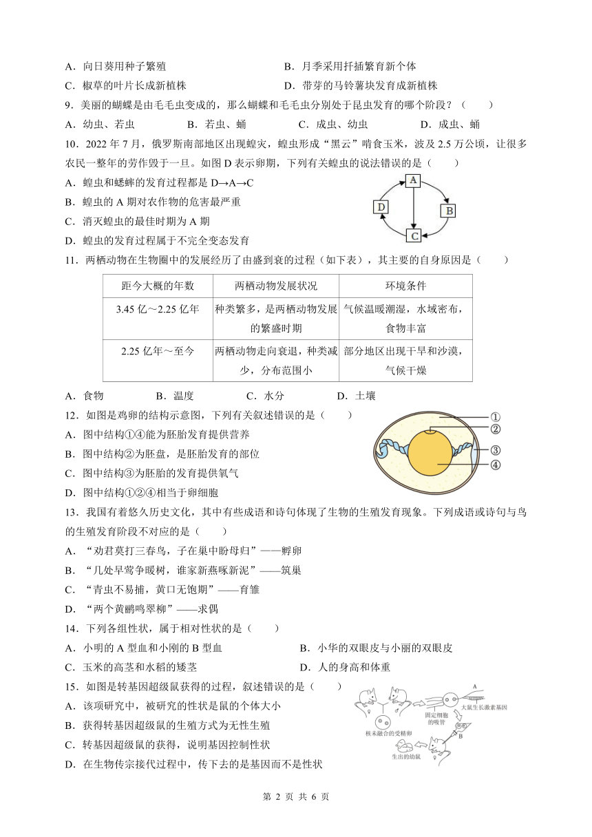 湖南省衡阳市八中教育集团初中校联考2023-2024学年八年级上学期期末考试生物试题（PDF版，无答案）