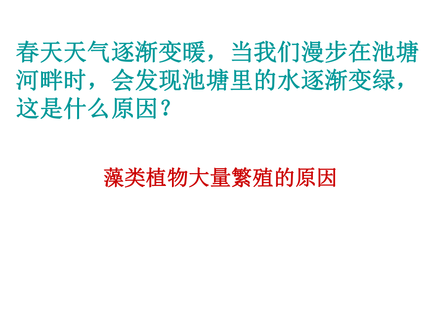 苏教版八上生物  14.1 五彩缤纷的植物世界 课件（73张PPT）