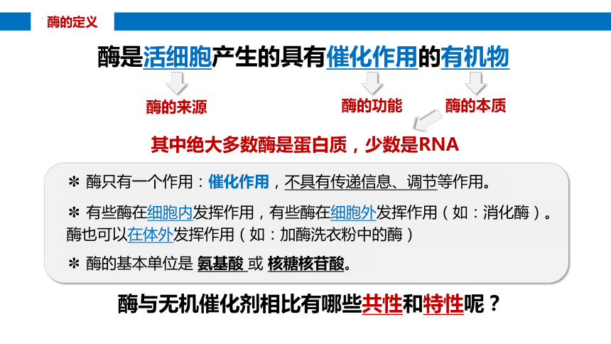 5.1降低化学反应活化能的酶（第2课时）(共31张PPT1份视频)课件 人教版必修1