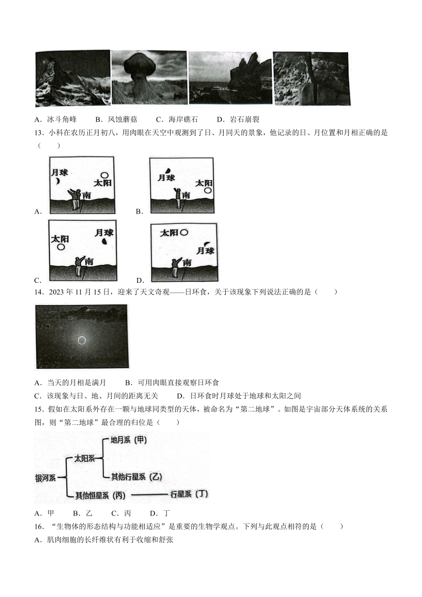 浙江省宁波市慈溪市2023学年第一学期期末测试初一科学试卷(无答案)