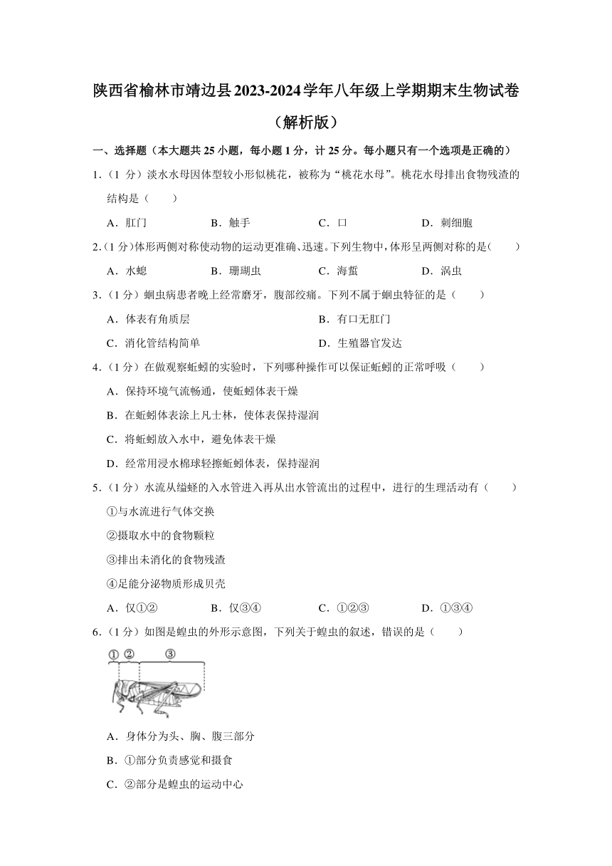 陕西省榆林市靖边县2023-2024学年八年级上学期期末生物试卷（含解析）