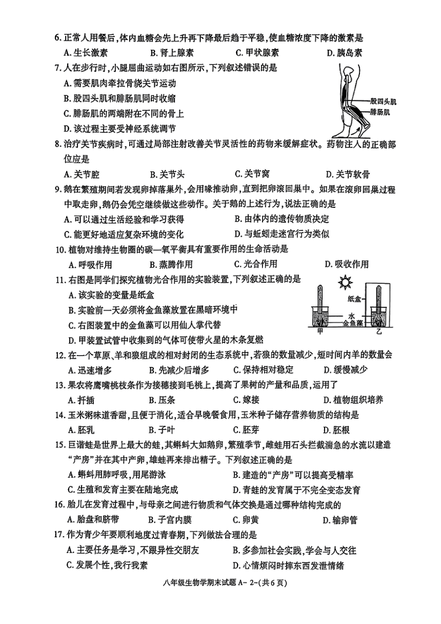 陕西省渭南市富平县2023-2024学年八年级上学期期末质量检测生物试题（PDF版无答案）