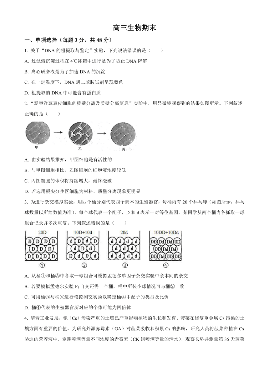 吉林省通化市梅河口市第五中学2023-2024学年高三上学期1月期末考试生物（解析版）