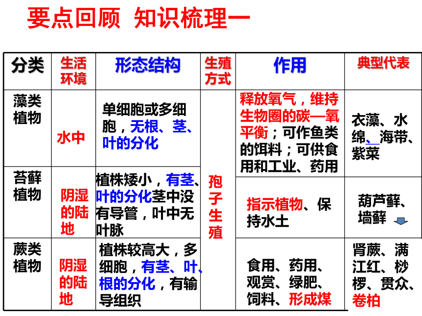 鲁科版（五四学制）八年级生物中考复习之六年级下册第一章绿色植物复习课件（16张ppt）