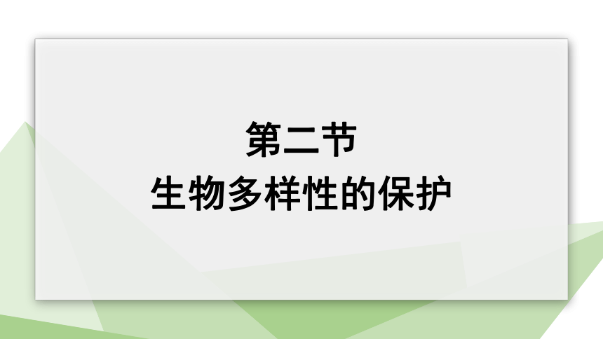 6.3.2 生物多样性的保护 课件(共19张PPT+内嵌视频1个)2023-2024学年初中生物济南版八年级下册