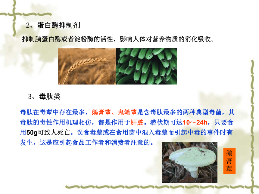 11.2 嫌忌成分的种类及其危害 课件(共76张PPT)-《食品生物化学》同步教学（大连理工大学出版社）