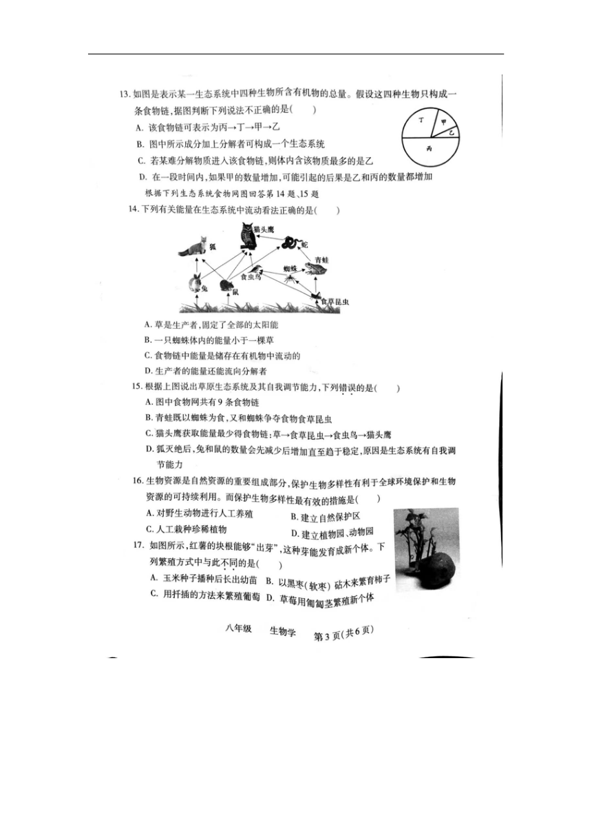 河南省洛阳市汝阳县2023-2024学年八年级上学期期末生物试题（PDF版无答案）