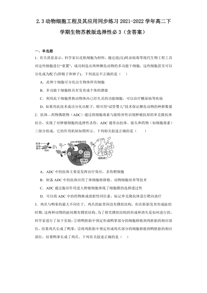 2.3动物细胞工程及其应用同步练习22023-2024学年高二下学期生物苏教版选择性必3（含解析）