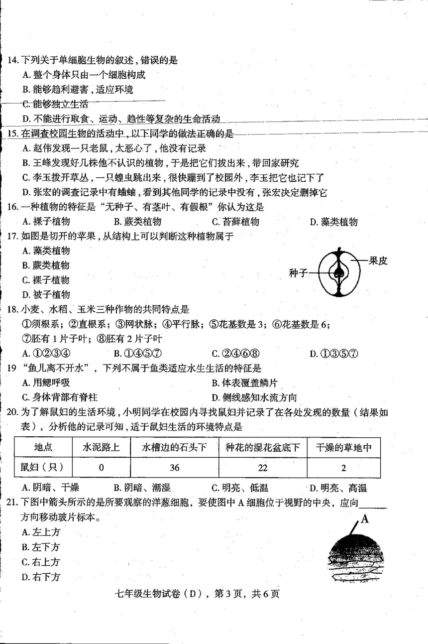 河北省石家庄市新乐市2023-2024学年七年级上学期期末生物试题（PDF版无答案）