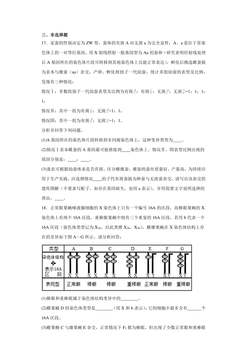 4.3染色体畸变可能引起性状改变同步练习2023-2024学年高一下学期生物浙科版必修2（含答案）