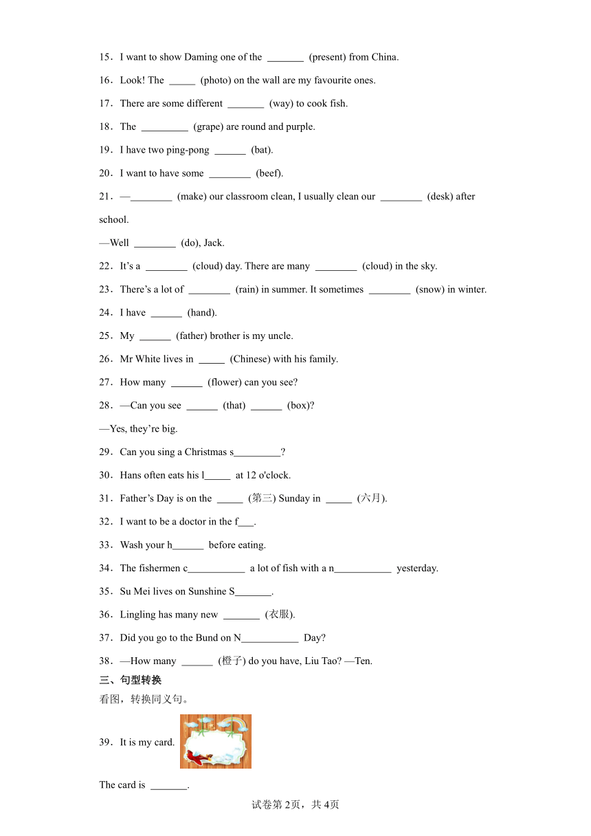 小升初语法专题复习-名词（试题） 人教PEP版 英语六年级下册（含答案）