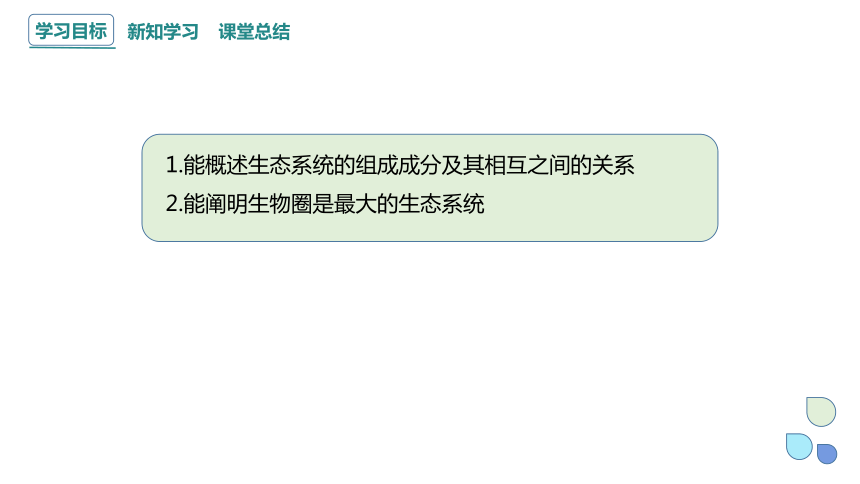 3.1 群落与非生物环境组成生态系统 课件(共22张PPT) 2023-2024学年高二生物浙科版（2019）选择性必修2