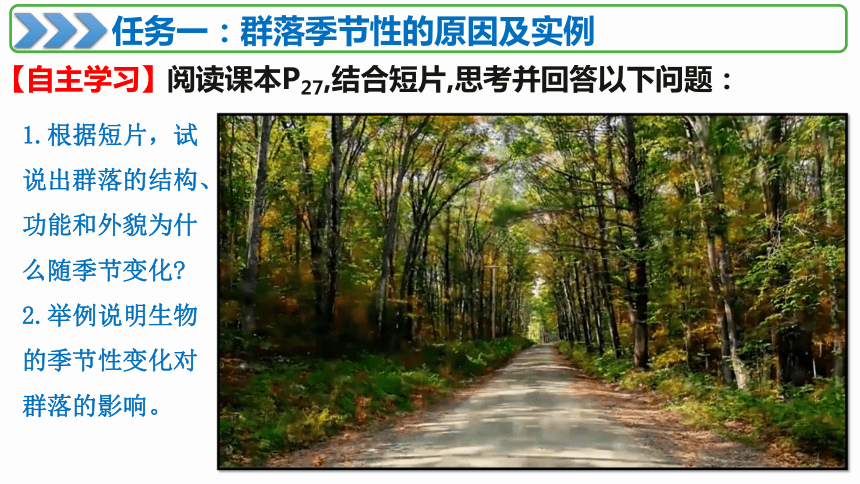 2.1群落的结构（第二课时）（共43张PPT1个视频）2019人教版选择性必修2