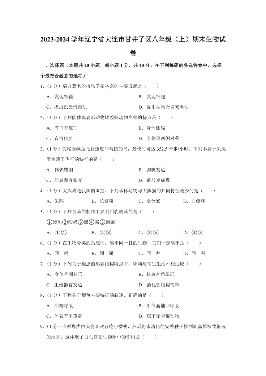 辽宁省大连市甘井子区2023-2024学年八年级上学期期末生物试卷（含解析）