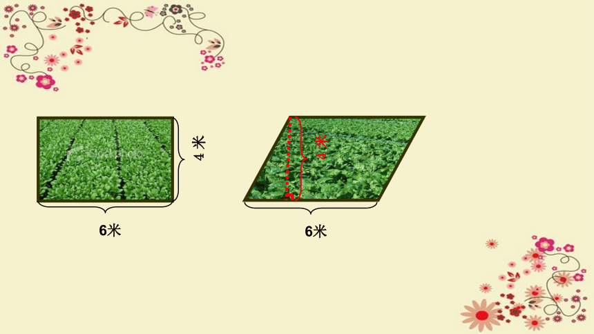 五年级上册数学人教版6.1平行四边形的面积课件(共24张PPT)