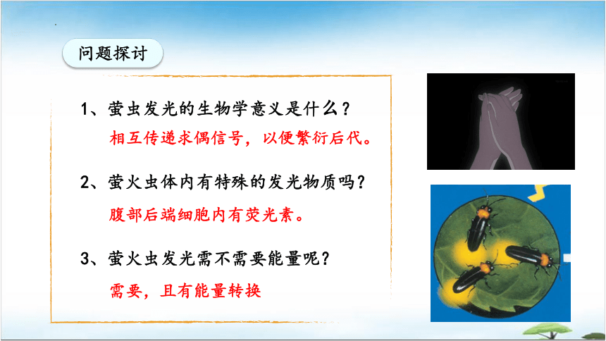 5.2细胞的能量“货币”ATP课件（共26张PPT）-人教版必修一